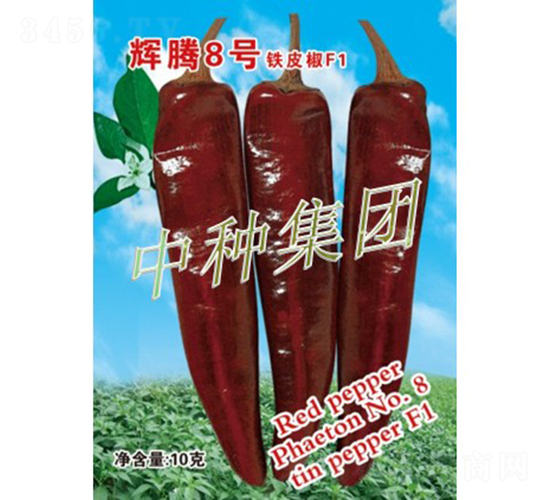 �x�v8̖(h��o)-�����N��-�зN���F(tu��n)