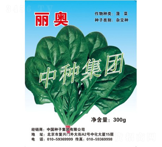 麗奧-菠菜種子-中種集團