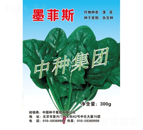 墨菲斯-菠菜種子-中種集團