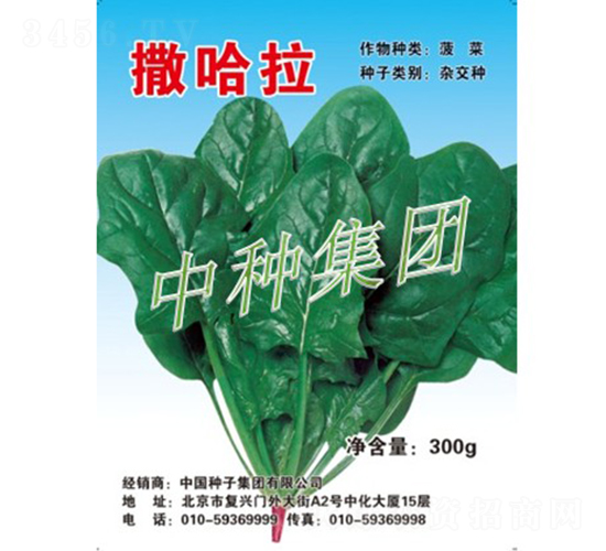 ������-���˷N��-�зN���F(tu��n)