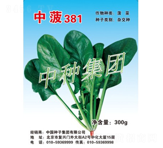 �в�381-���˷N��-�зN���F(tu��n)