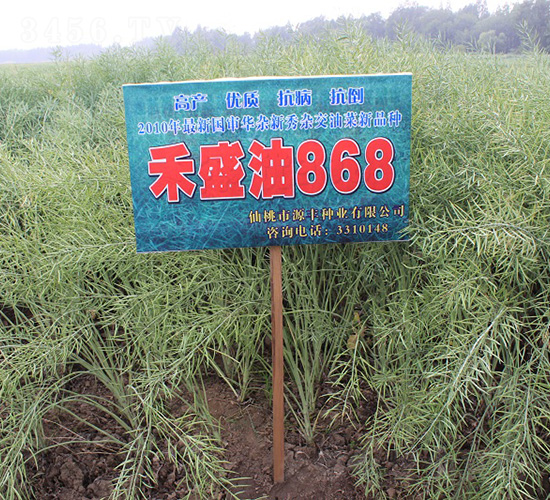 ��ʢ��868-�Ͳ˷N��-���r(n��ng)�l(f��)