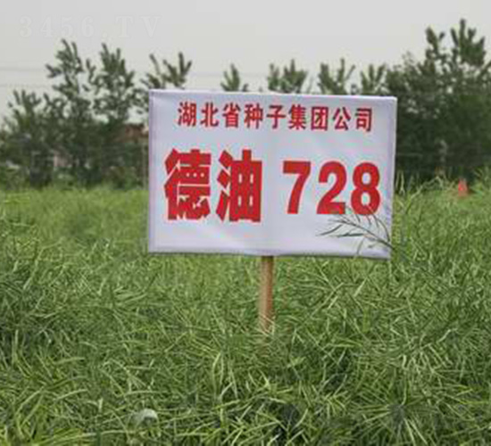 ����728-�Ͳ˷N��-���r(n��ng)�l(f��)