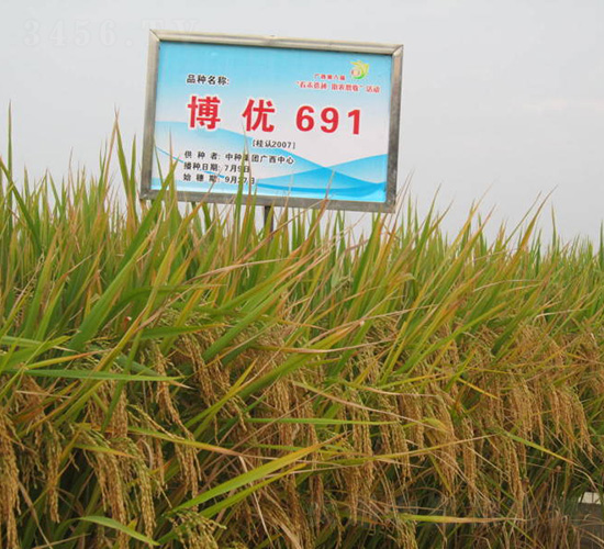 ����(y��u)691-ˮ���N��-�зN���F(tu��n)