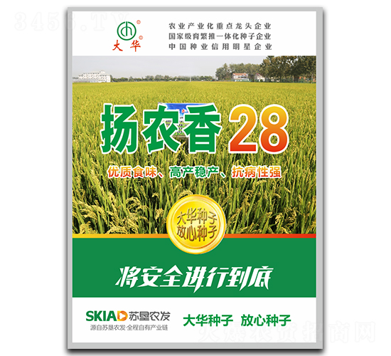 �P(y��ng)�r(n��ng)��28-ˮ���N��-���A�N�I(y��)