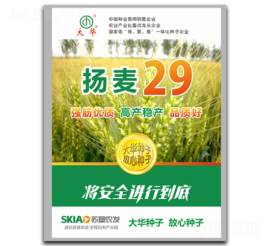 揚麥29-小麥種子-大華種業(yè)
