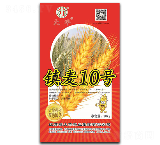 鎮(zhèn)麥10號(hào)-小麥種子-大華種業(yè)