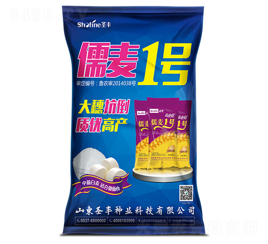 儒麥1號-小麥種子-圣豐種業(yè)