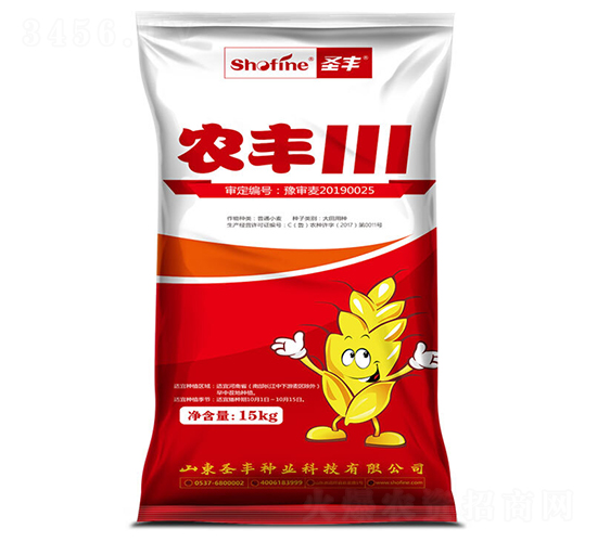 農(nóng)豐111-小麥種子-圣豐種業(yè)