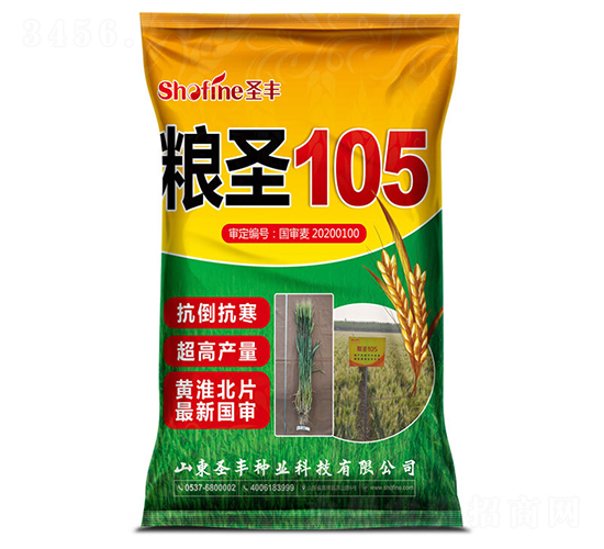 糧圣105-小麥種子-圣豐種業(yè)