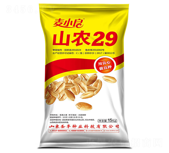 山農(nóng)29-小麥種子-圣豐種業(yè)