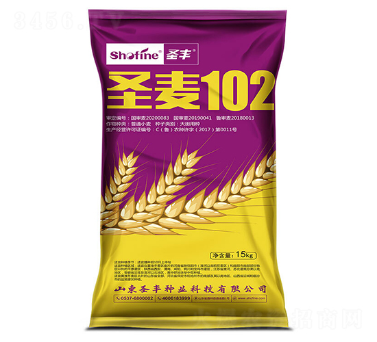 ʥ��102-С���N��-ʥ�S�N�I(y��)