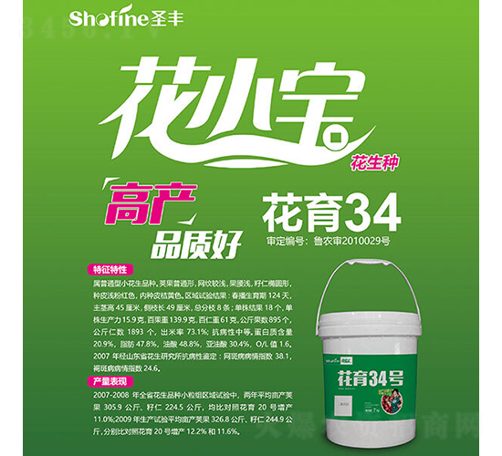 花育34-花生種子-圣豐種業(yè)