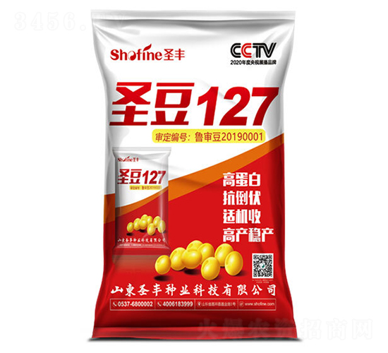 圣豆127-大豆種子-圣豐種業(yè)