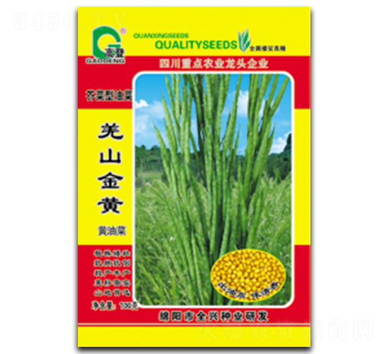 羌山金黃-油菜種子-全興種業(yè)