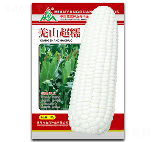 羌山超糯-糯玉米種子-全興種業(yè)