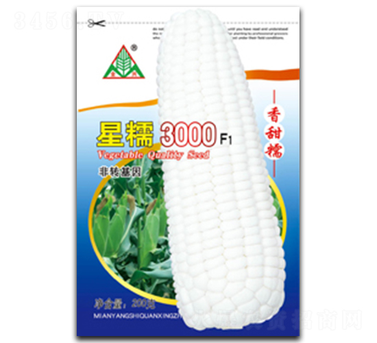 星糯3000-糯玉米種子-全興種業(yè)