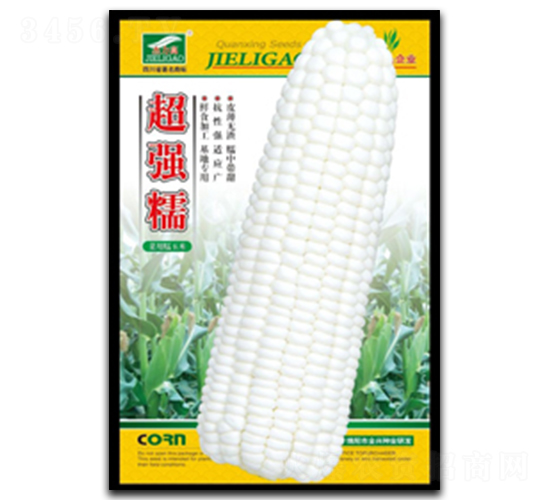 超強(qiáng)糯-糯玉米種子-全興種業(yè)
