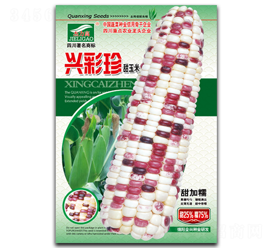 興彩珍-糯玉米種子-全興種業(yè)