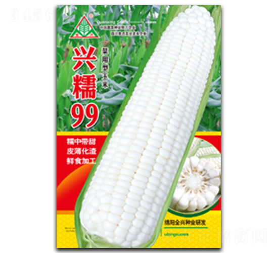 興糯99-糯玉米種子-全興種業(yè)