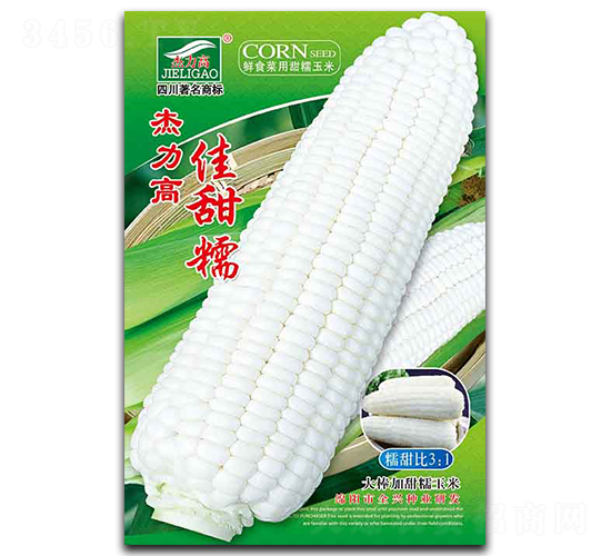 佳甜糯-糯玉米種子-全興種業(yè)