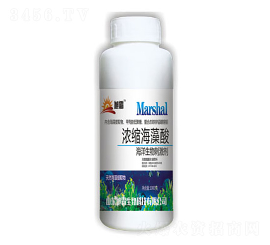 ��s������-�������