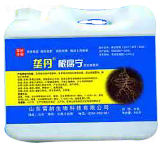 �ŵ�������-�׼{����