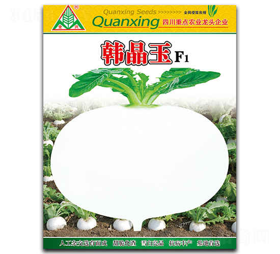 �n����-�}���N��-ȫ�d�N�I(y��)