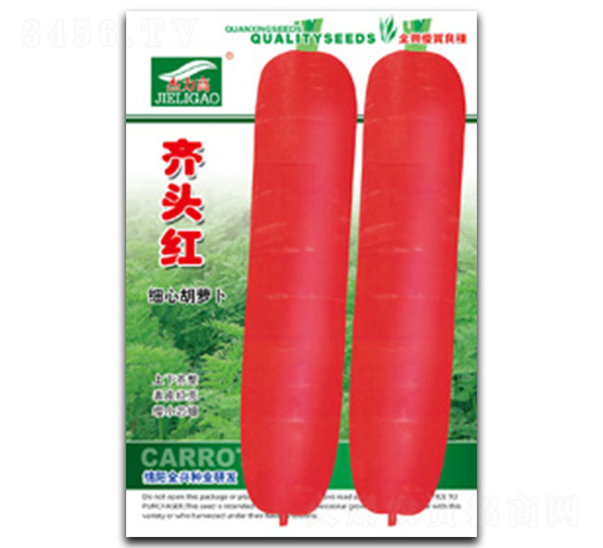 �R�^�t-���}���N��-ȫ�d�N�I(y��)