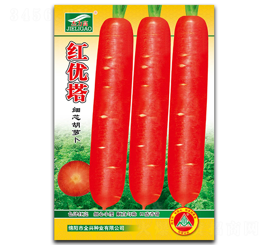 �t��(y��u)��-���}���N��-ȫ�d�N�I(y��)