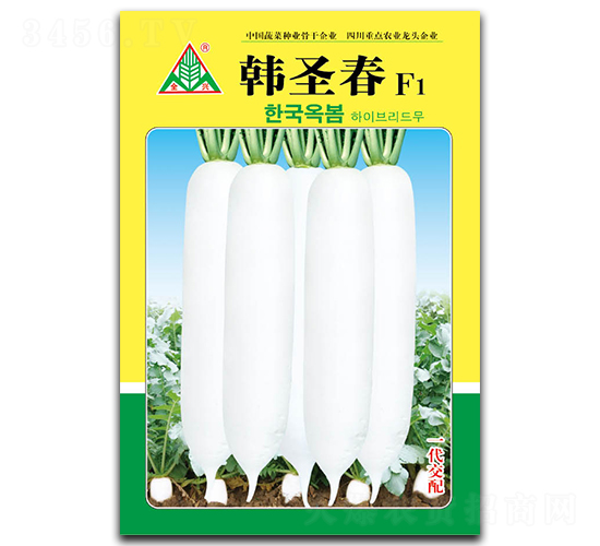 �nʥ��-�L���}���N��-ȫ�d�N�I(y��)