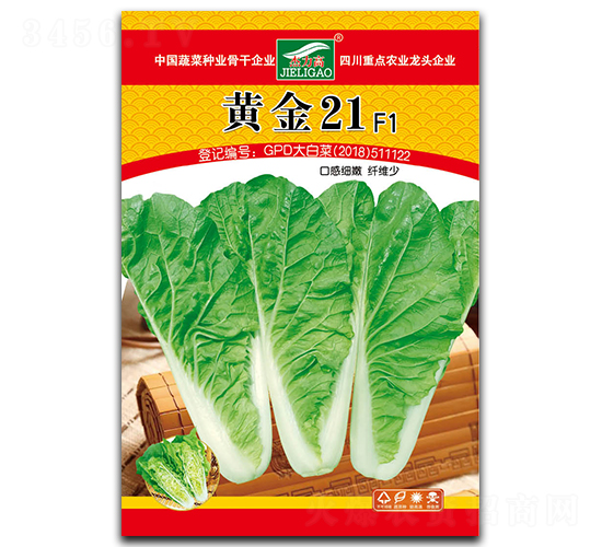 �S��21-��˷N��-ȫ�d�N�I(y��)