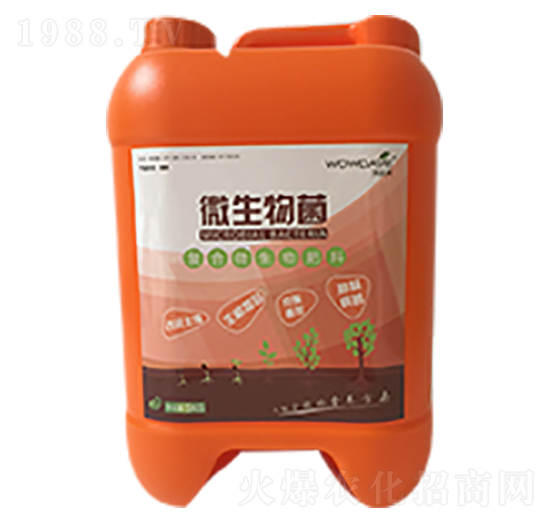 ΢�����-���_��