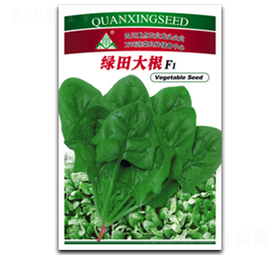 �G����-���˷N��-ȫ�d�N�I(y��)