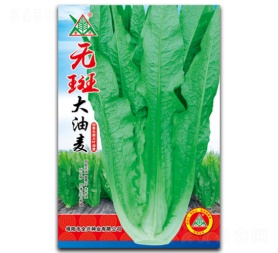 �o(w��)�ߴ�����-�����˷N��-ȫ�d�N�I(y��)