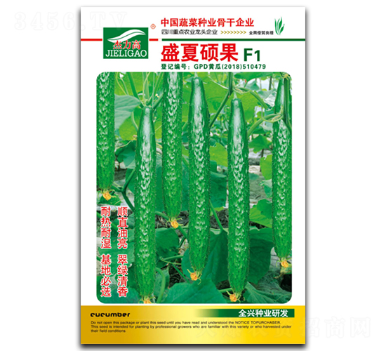 盛夏碩果-黃瓜種子-全興種業(yè)
