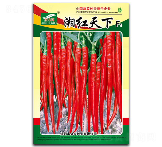 ��t����-��(xi��n)���N��-ȫ�d�N�I(y��)