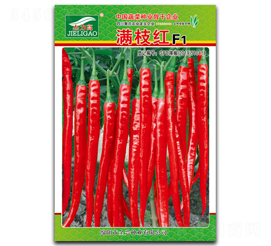 �M֦�t-�����N��-ȫ�d�N�I(y��)