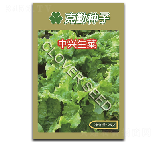 ���d����-���˷N��-���ڷN��