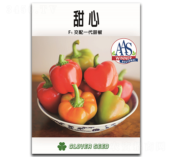 ����-�𽷷N��-���ڷN��