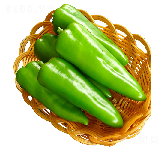 ���A-�𽷷N��-���ڷN��