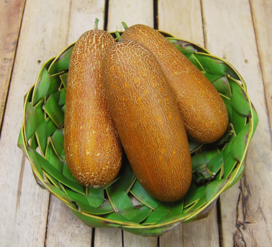 金夫人-老黃瓜種子-克勤種子