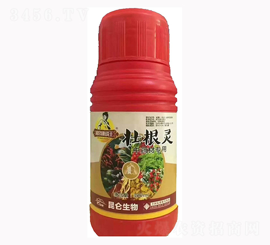 中藥材壯根靈-愛(ài)普達(dá)