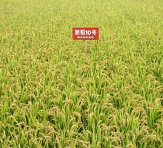 �µ�10̖-ˮ���N��-�ػͷN�I(y��)