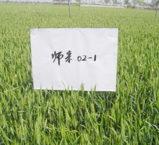 ����02-1-С���N��-�ػͷN�I(y��)