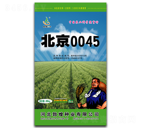 北京0045-小麥種子-敦煌種業(yè)