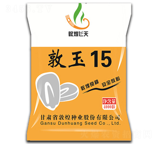 敦玉15-玉米種子-敦煌種業(yè)