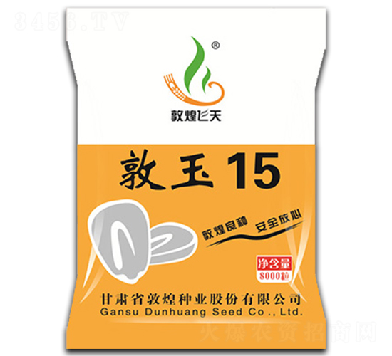 敦玉15（8000粒）-玉米種子-敦煌種業(yè)