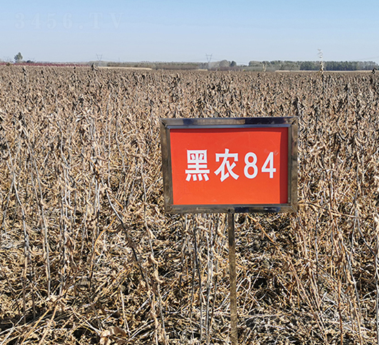 ���r(n��ng)84-�󶹷N��-���ƷN�I(y��)