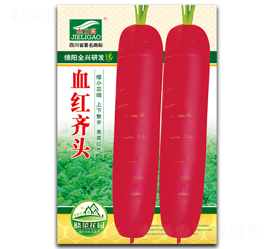 Ѫ�t�R�^-���}���N��-ȫ�d�N�I(y��)